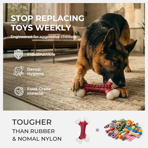Kseroo Indestructible Dog Toys for Aggressive Chewers: Beef Flavored Hard Nylon Bone Chew Toys, Tough Dog Chew Toys for La...