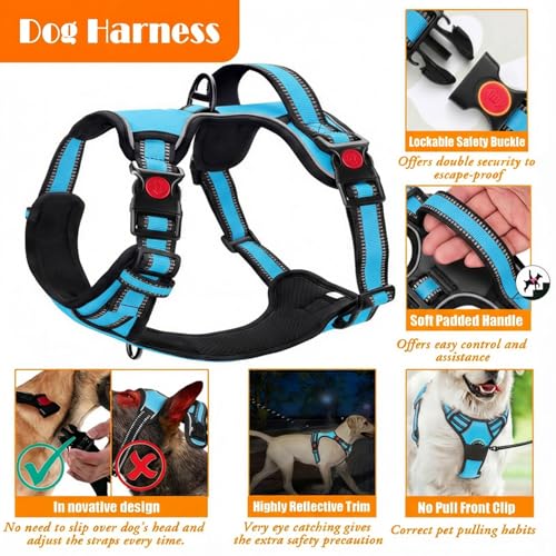 LOBEVE No Pull Dog Harness, Collar & Leash Set | Includes Dog Seat Belt, Collapsible Bowls & Poop Bag Dispenser. Ideal for...