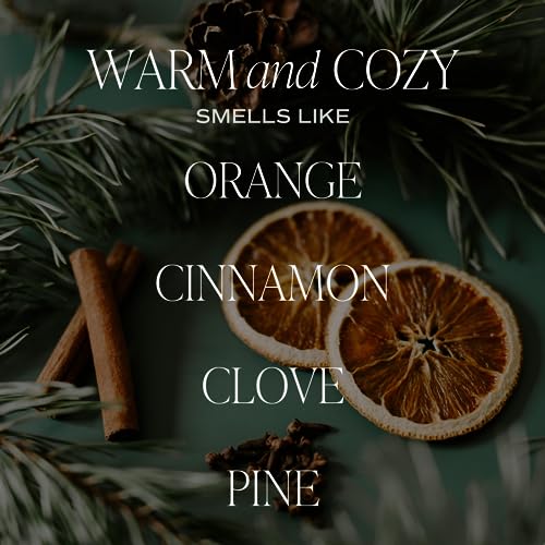 Sweet Water Decor Warm and Cozy Soy Candle - Orange Peel, Cinnamon, Ginger and Clove Scented Candles for Home - 9oz Amber ...