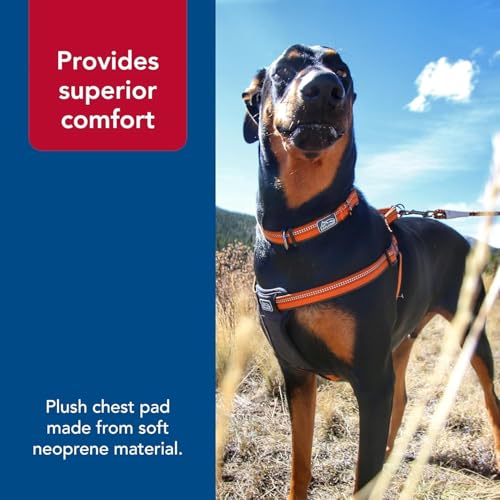 Coastal Pet K9 Explorer Reflective Adjustable Padded Dog Harness - Plush Chest Pad for Comfort - No-Pull Dog Harness for S...