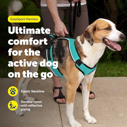 PetSafe EasySport Harness - Durable Padded Fabric, Adjustable Elastic Neckline, Rear-Leash Attachment & Nighttime Reflecti...