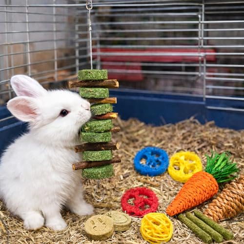 Grddaef 20 PCS Bunny Chew Toys for Teeth, Natural Rabbit Toys Apple Wood Grass Timothy Sticks Chew and Treat for Guinea Pi...
