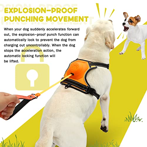 2-in-1 No Pull Dog Harness & Retractable Leash - Large Dog Harness with Auto-Lock, Reflective & Adjustable-XL