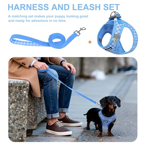 AIITLE No Pull Dog Harness and Leash Set, Step in No Chock Soft Mesh Dog Harnesses Reflective for Extra-Small Puppy Dogs a...