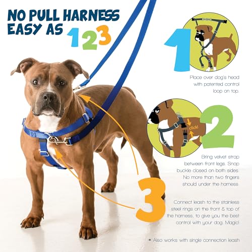2 Hounds Design Freedom No Pull Dog Harness, Adjustable Harness and Leash Set, Easy Walking & Comfortable Control, Fits Sm...