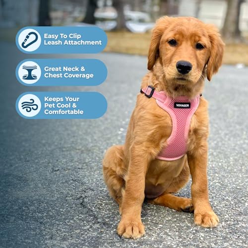 Best Pet Supplies Voyager Adjustable Step-in Flex Breathable Mesh Dog Harness for Small Medium Large Dogs Leash Set (Pink), S