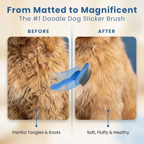 Slicker Brush for Dogs, Dog Grooming Supplies - Best Doodle & Poodle Brush for Haired Dogs - Goldendoodle Pin Detangler fo...