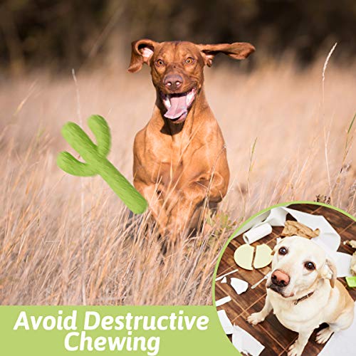MewaJump Dog Chew Toys, Durable Rubber Dog Toys for Aggressive Chewers, Cactus Tough Toys for Training and Cleaning Teeth,...