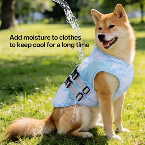 DORA BRIDAL Dog Cooling Vest for Summer, Lightweight Breathable Mesh Cooler Jacket with Harness, Soft Pet Cooling Shirt fo...