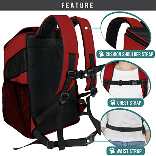 PetAmi Small Dogs and Cat Backpack Carrier, Airline Approved Pet Backpack Carrier, Ventilated, Safety Strap, Buckle Suppor...