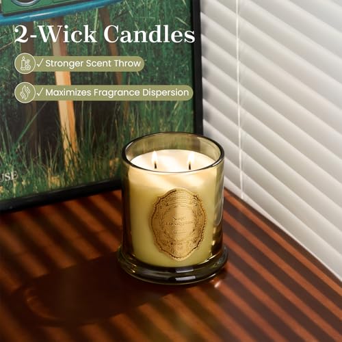 M&SENSE Sage Eucalyptus Candles for Home Scented, 2 Wick 12.7oz Soy Wax Candles Non Toxic,70 Hours Long Burning,Christmas ...