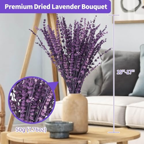 Dried Purple Lavender Flowers Bundle-Dried Preserved Lavender Bouquet 15-17" for Shower Weeding Home Vase Decor, Crafts, A...