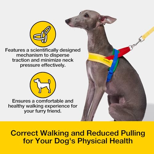 VETRESKA MoMA Dog Harness and Leash Set, Easy Walk Dog Harness for Small Medium Dogs, No Pull Puppy Harness for Walking an...