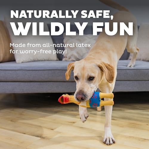 Outward Hound by Charming Pet Squawkers Earl Latex Squeaky Rubber Chicken Dog Toy, Funny Interactive Holiday Toy for Dogs,...