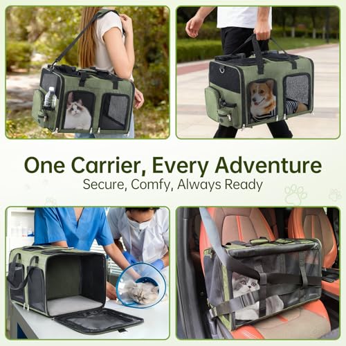 TOYSBOOM Cat Carrier for 2 Cats - Double Pet Carrier Extra Large, Dual Cabin Multi Cat Travel Carrier with Removable Divid...