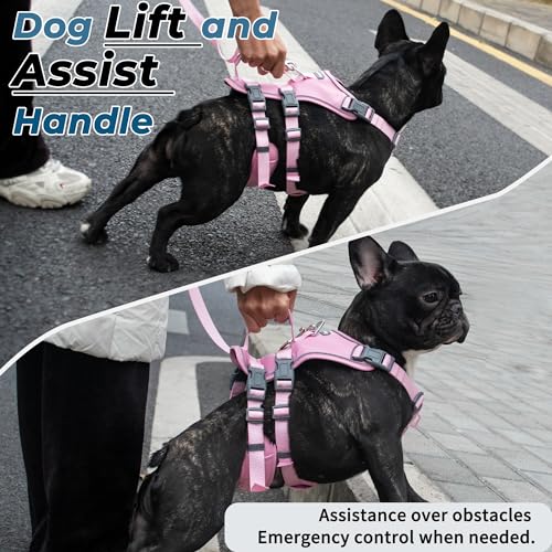 Wuffley Escape Proof Dog Harness and Leash Set, Lightweight Dog Harness with Lift and Assist Handle, No Pull Reflective Pe...