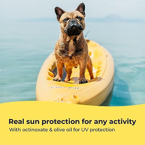 Gentle Creatures Dog Sunscreen - SPF 30+ With Skin Moisturizing Vitamin E and Olive Oil - No Zinc Oxide Safe for All Dogs ...