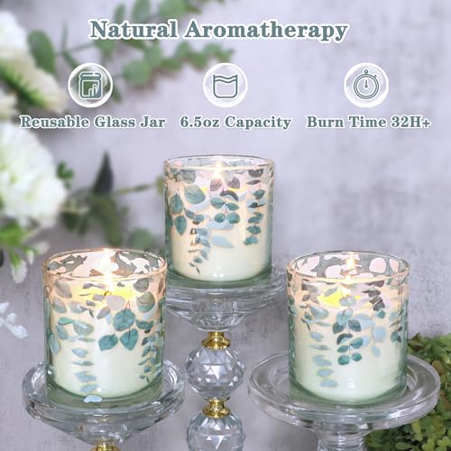 3 Pack Candles for Home Scented Aromatherapy Candles Gifts Set Eucalyptus Scented Candle Long Lasting Greenery Decorative ...