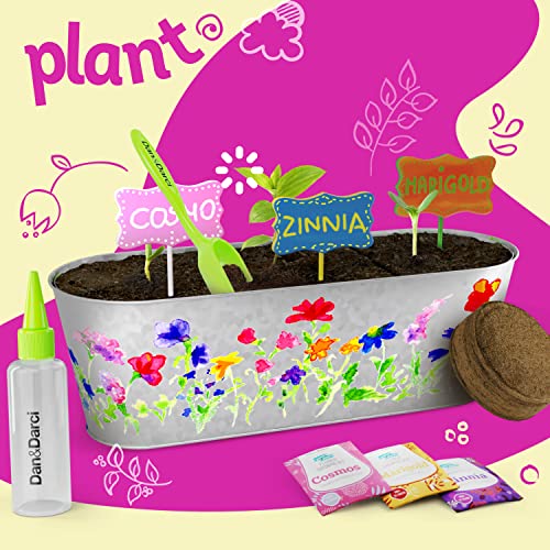 Dan&Darci Paint & Plant Flower Growing Kit for Kids - Gift Ideas Age 5 6 7 8-12 Year Old Girl - Birthday Crafts Gifts for ...