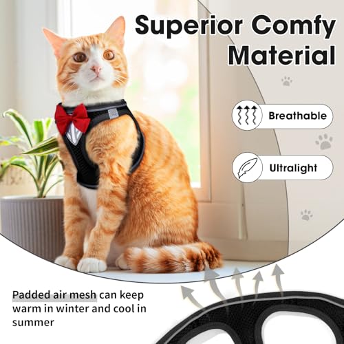 Cat Vest Harness and Leash Set for Walking Escape Proof, Adjustable Kitten Harness Breathable Mesh with Reflective Strips ...