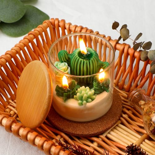 Tondiamo Succulent Cactus Candles Gift,3.15 Inch Scented Decorative Terrarium Plant Candles Votive for House Warming Weddi...