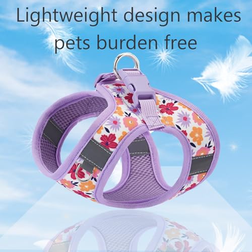 Small Dog Harness and Leash Set, Step in Dog Harness No Pull for Walking Running Training, Puppy Essentials for Dogs Cat B...