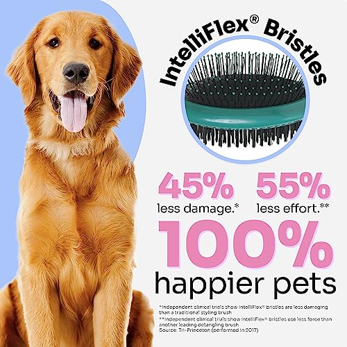 Wet Brush Ultimate Dual-Sided Detangling Brush - Ultra Soft IntelliFlex Bristles, Removes Loose Hair & Dirt for Dogs, Cat...