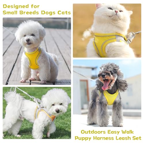 PETPUBGNZS Soft Small Dog Harness and Leash Set Mesh Puppy Harnesses Leash Easy Walk Dog Vest Adjustable Reflective No Pul...