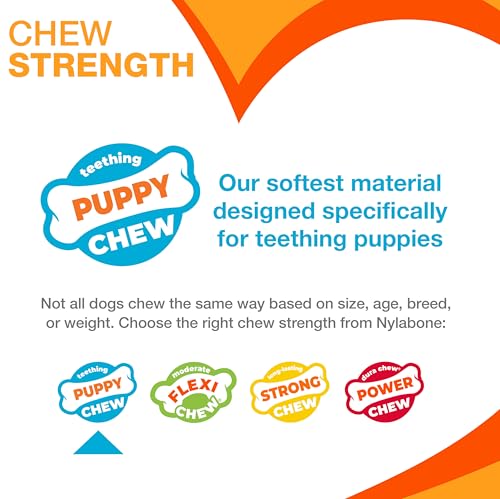 Nylabone Ring Bone Chew Toy for Puppies, Puppy Teething Toys, Puppy Enrichment Toys, Chicken Flavor, X-Small Dogs - Up to ...