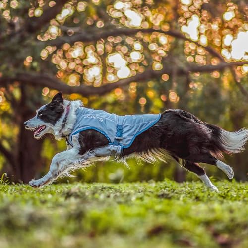 Kurgo Dog Core Cooling Vest - Summer Cooling Jacket - Evaporative Cooling Coat - Harness-Compatible - Reflective Accents -...