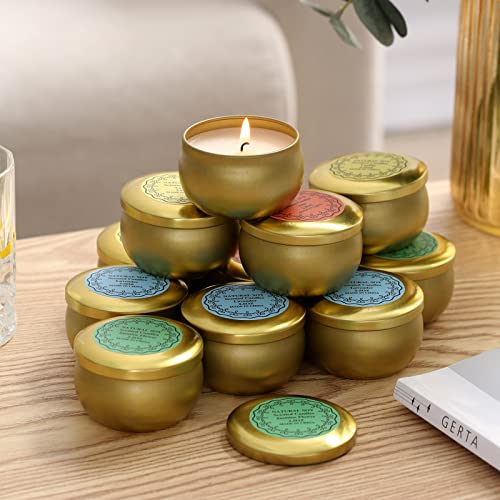 qinxiang Scented Candles Gifts Set,16 Pack Natural Soy Wax Travel Tin Jar Candles for 2.5 OZ Aromatherapy Candles for Fami...