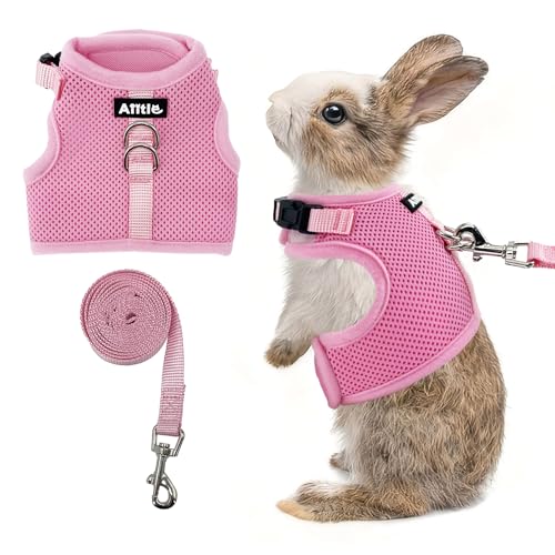 AIITLE Adjustable Rabbit and Leash Set - Lightweight & Portable, Padded Vest with Magic Tape Design, Indoor/Outdoor Use (T...