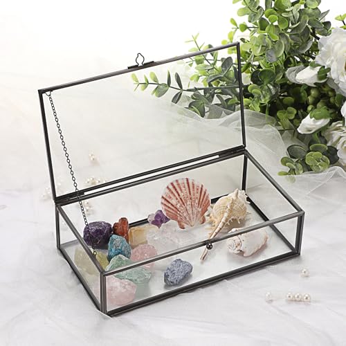 Hipiwe Glass Keepsakes Display Box with Lid - Decorative Black Glass Box Clear Rectangle Storage for Trinket Perfume Cards...