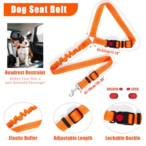 YXFDOYT No Pull Dog Harness Adjustable Collar & Leash Set - Dog Halter Harnesses Collapsible Bowls & Poop Bag Dispenser Mu...