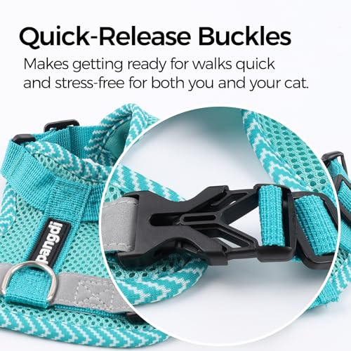 pangdi Cat Harness and Leash Escape Proof Extra Large Kitten Harness Maine Coon Cat Vest for Walking Travel, Turquoise, XL