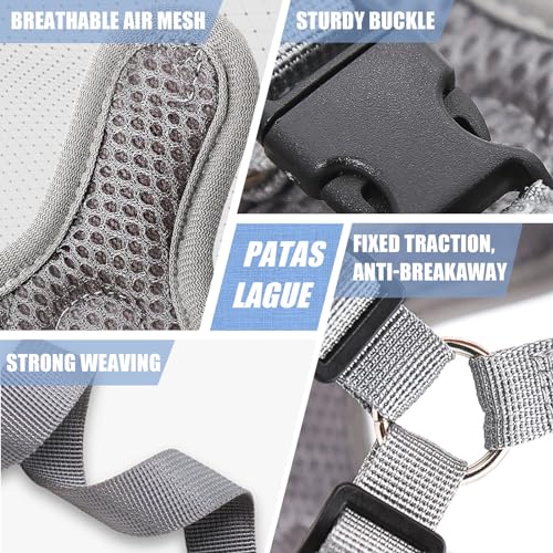 Patas Lague Dog Harness with Leash Set for Small Medium Dogs, No Pull No Choke Reflective Step in X Head Pet Harness Vest ...