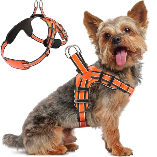 Dog Harness for Small Dogs Back D-Ring Control No Choking Pressure-Free Chest Design Comfortable Padded Adjustable Reflect...
