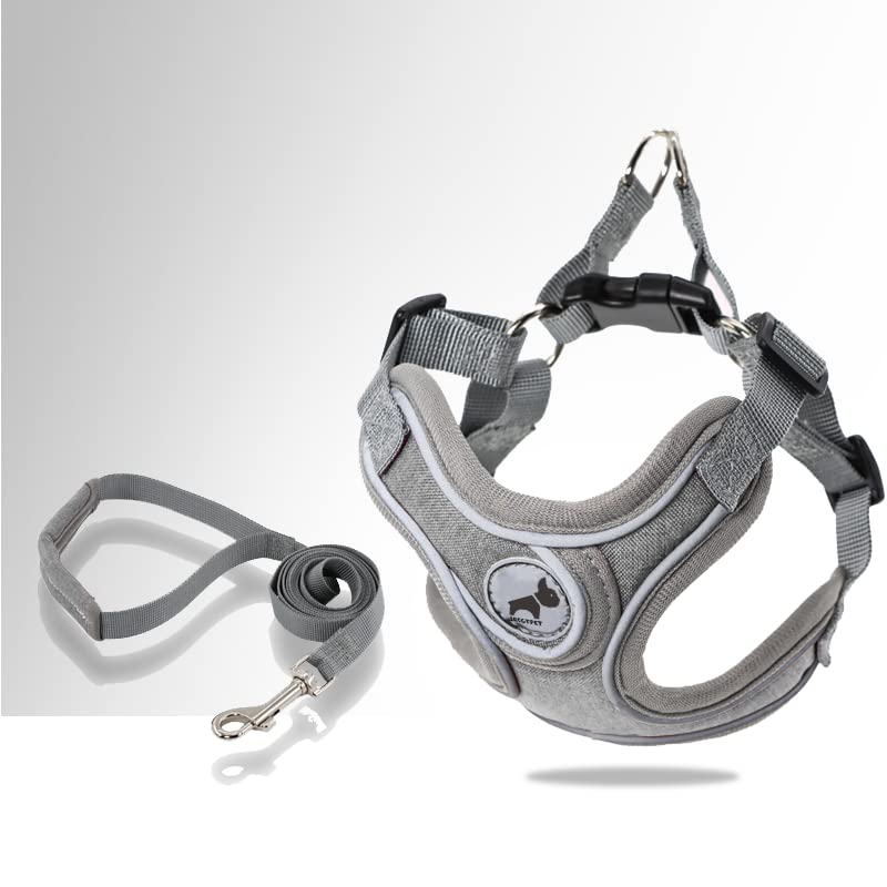 Dog Frenchie Harness with Leash Set, No Pull Adjustable Step in with Breathable Padded Vest Harness for Small Medium Large...