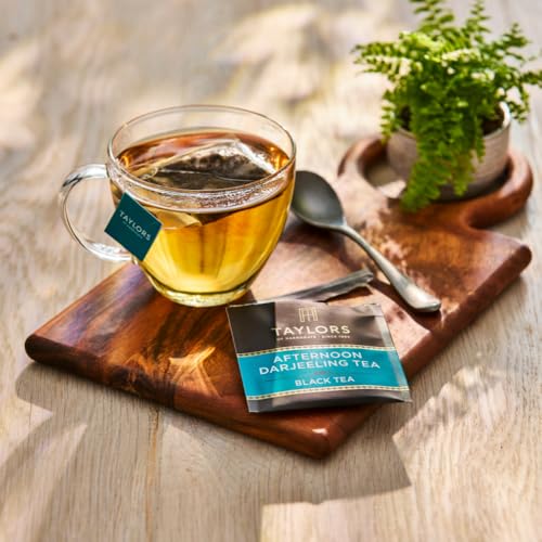 Taylors of Harrogate Afternoon Darjeeling, Black Tea, Individually Wrapped Bags 20 Count (Pack of 6), Delicate, Sweet & Fl...