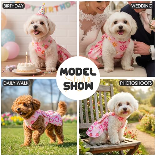 BAOBICUTE Dog Dress Harness Dresses Leash Set for Small Dogs Cute Girl Dog Clothes with Bowknot Puppy Outfits for Shih Tzu...