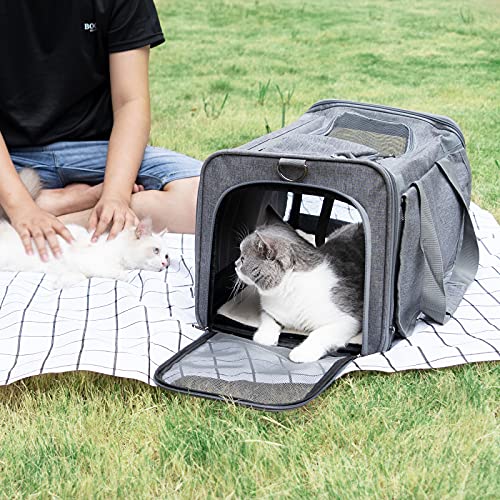 GAPZER Pet Carrier for Large Cats, Soft-Sided Cat Carrier for Medium Big Cats and Puppy up to 20lbs, Washable Dog Carrier ...