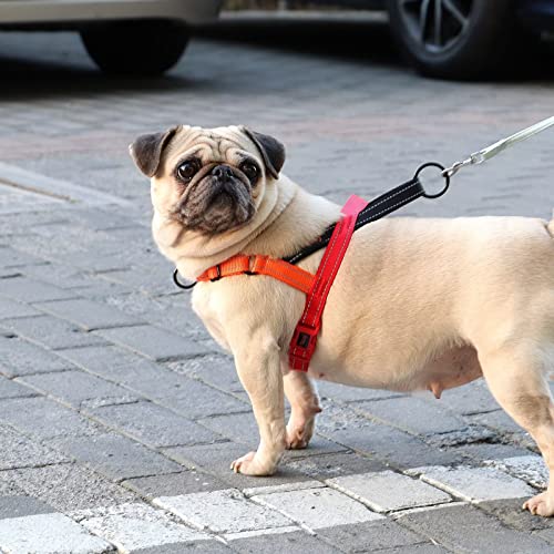 Didog No Pull Dog Harness with Soft Padded Handle, Quick Fit & Lightweight Adjustable Vest Harness, Easy for Training Walk...