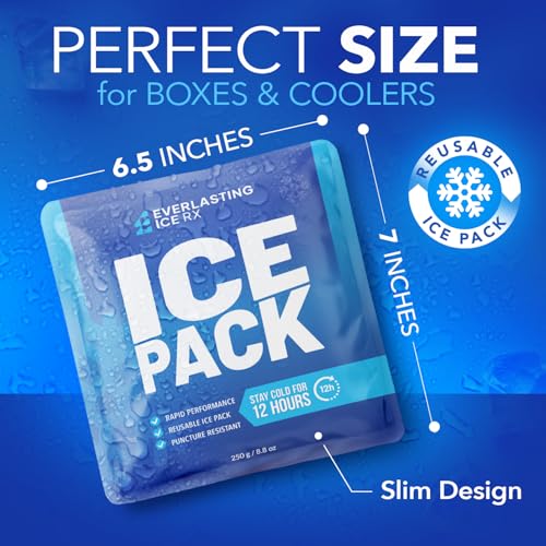 Rapid Performance Reusable Ice Packs for Coolers or Lunch Box | 4 Pack | Cold for Up to 12 Hours | Ice Packs for Cooler, L...