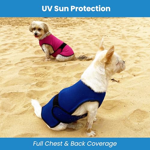 DOGZSTUFF Dog Cooling Vest – Lightweight Evaporative Shirt with UV Protection for Small, Medium, and Large Dogs – Breathab...