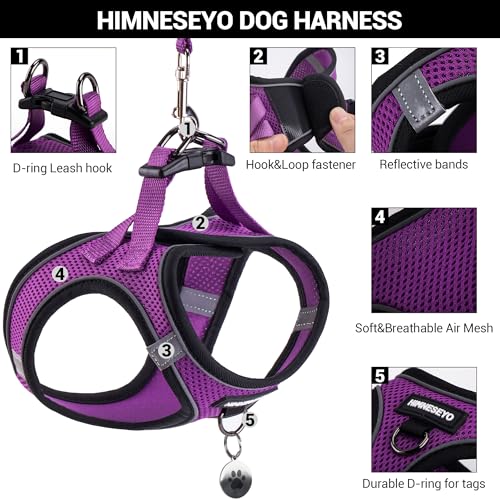 Dog Harness and Leash Set, Dog Harness for Dogs No Pull, No-Chock Step-in Reflective Breathable Lightweight Easy Walk Vest...