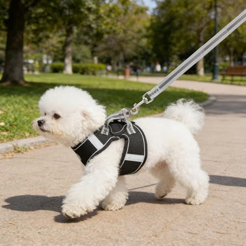 Small Dog Harness and Leash Set, Step-in Puppy Vest with Breathable Soft Padded Mesh, Walking Reflective Pet Harness for S...