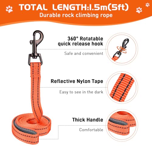 HIHANHAN Soft Mesh Dog Harness and Leash Set, No Pull Puppy Harness and Leash Set, Reflective Step in Harness for Small Me...