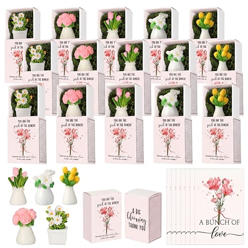 VioraWhite 36 Sets Thank You Gifts for Women Bulk Mini Tiny Flowers with Flowerpot Vase Box Motivational Office Desk Decor...