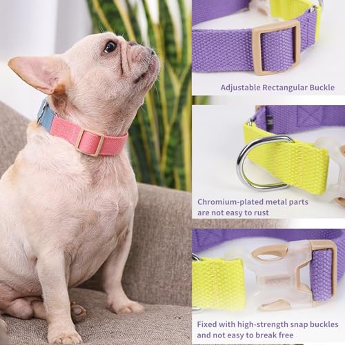 No Pull Dog Harness and Leash Set, Step in Dog Halter Harness with Poop Bag Holder, Adjustable Lightweight Cotton Straps S...