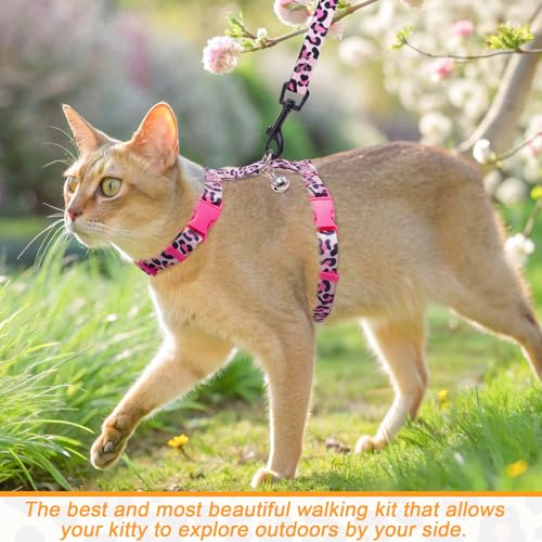 BEAUTYZOO Cat Harness and Leash Set Escape Proof for Walking, Kitten Soft Adjustable Vest Harnesses for Small Medium Large...